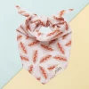 THE PAWS Sizzle Hot Dog Bandana