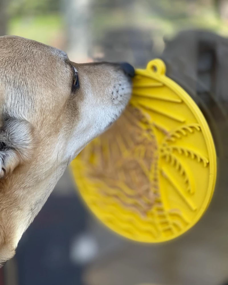 SODA PUP Sun N' Sea Enrichment Lick Mat With Suction Cups (Made In The USA) - Image 2