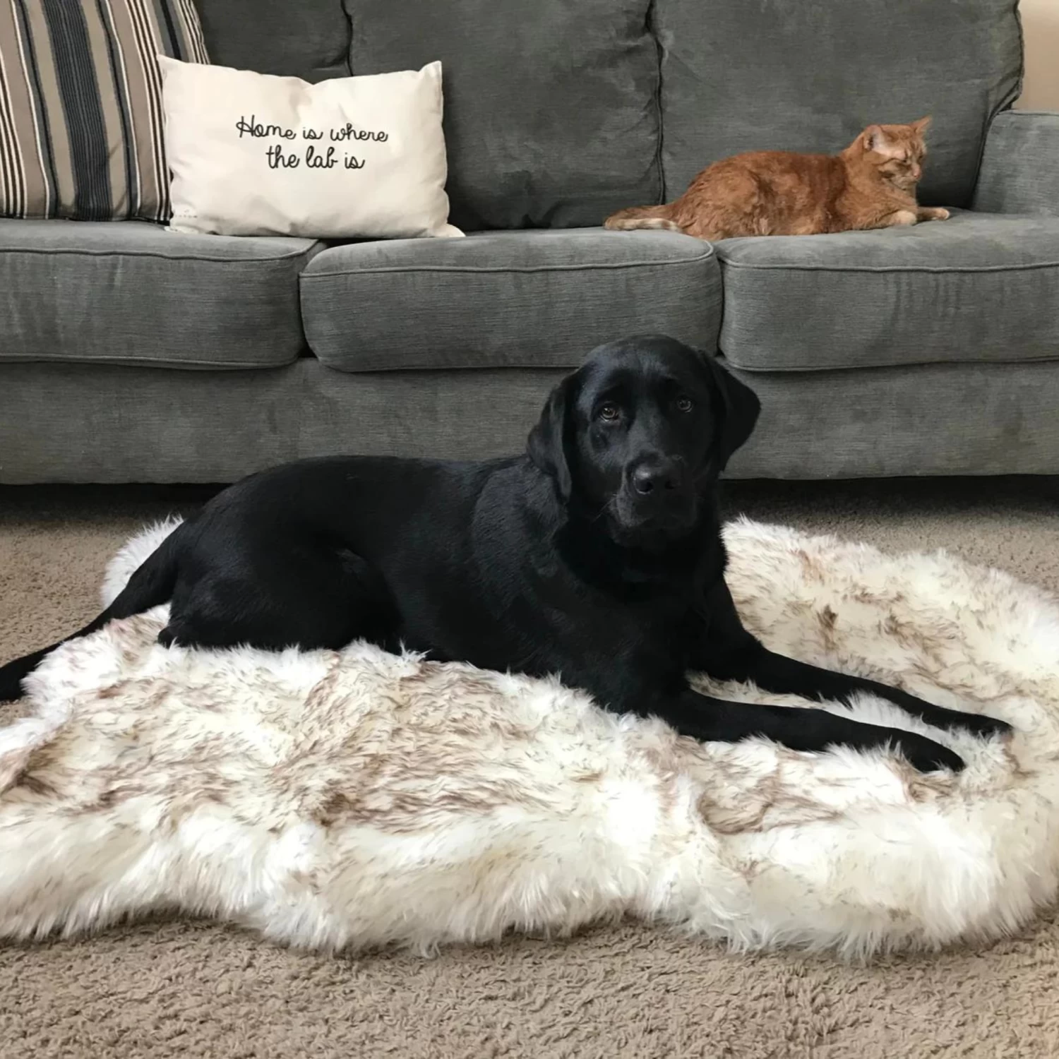 PAW Faux Fur Orthopedic Dog Bed - Curve White With Brown Accents (CLEARANCE) - Image 3