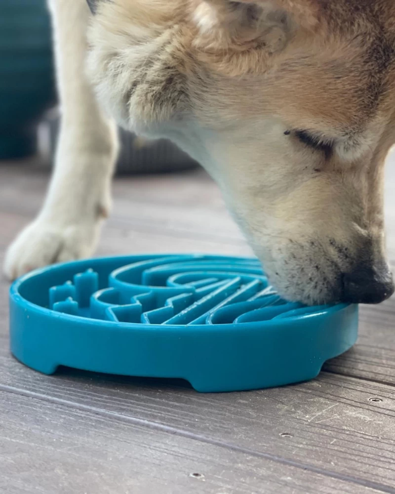 SODA PUP Baja Shallow Slow Feeder Dog Bowl (Made In The USA) - Image 3