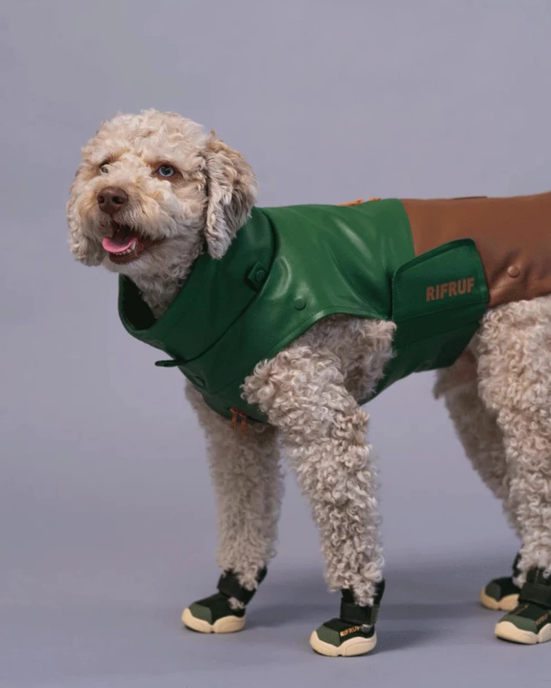 RIFRUF Caesar Dog Sneakers In Birch - Image 2