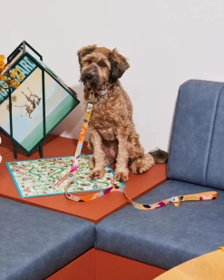 NICE DIGS Snakes & Ladders Leather Dog Leash