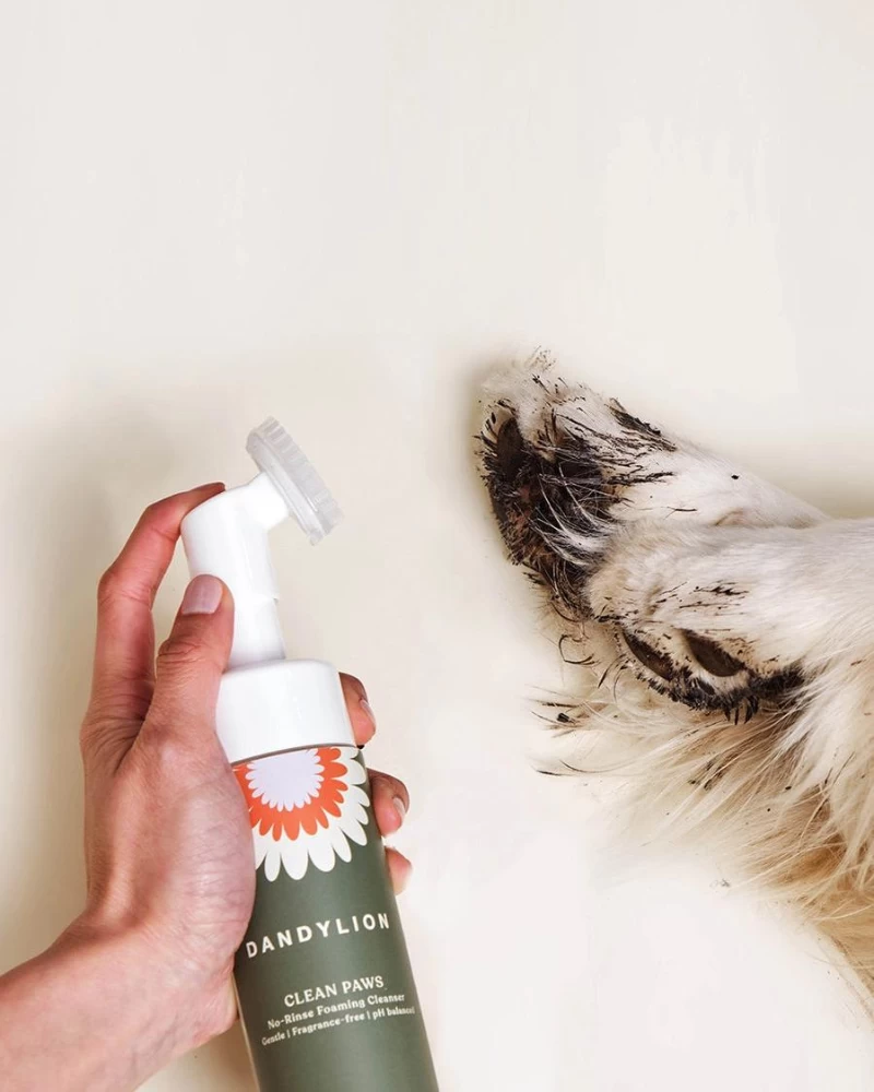 DANDYLION Clean Paws No-Rinse Foaming Cleanser For Dogs (Vegan & Cruelty Free) - Image 4
