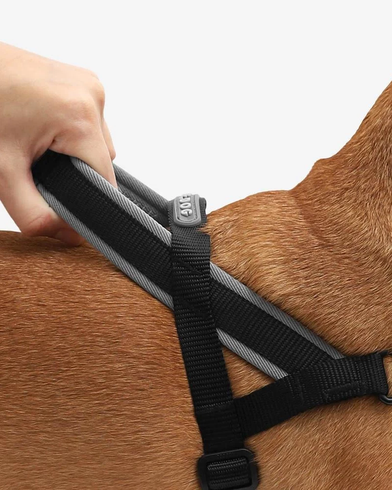 ZEE.DOG SoftWalk No-Pull Dog Harness (FINAL SALE) - Image 2