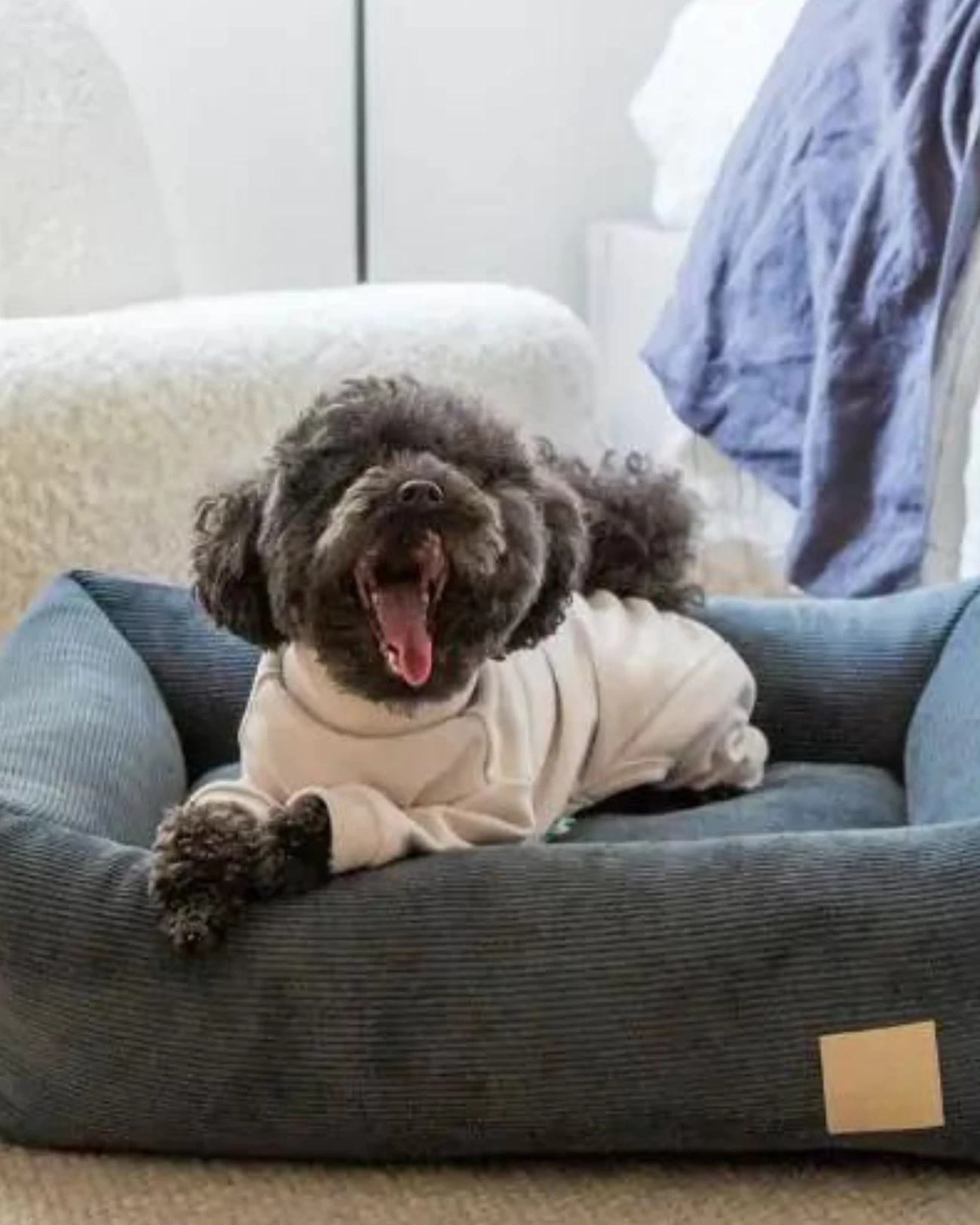 FUZZYARD Soft Touch Dog Onesie In Sandstone Or Myrtle Green (FINAL SALE) - Image 10