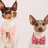 THE FOGGY DOG Raspberry Gingham Dog Bow Tie (Made In The USA)