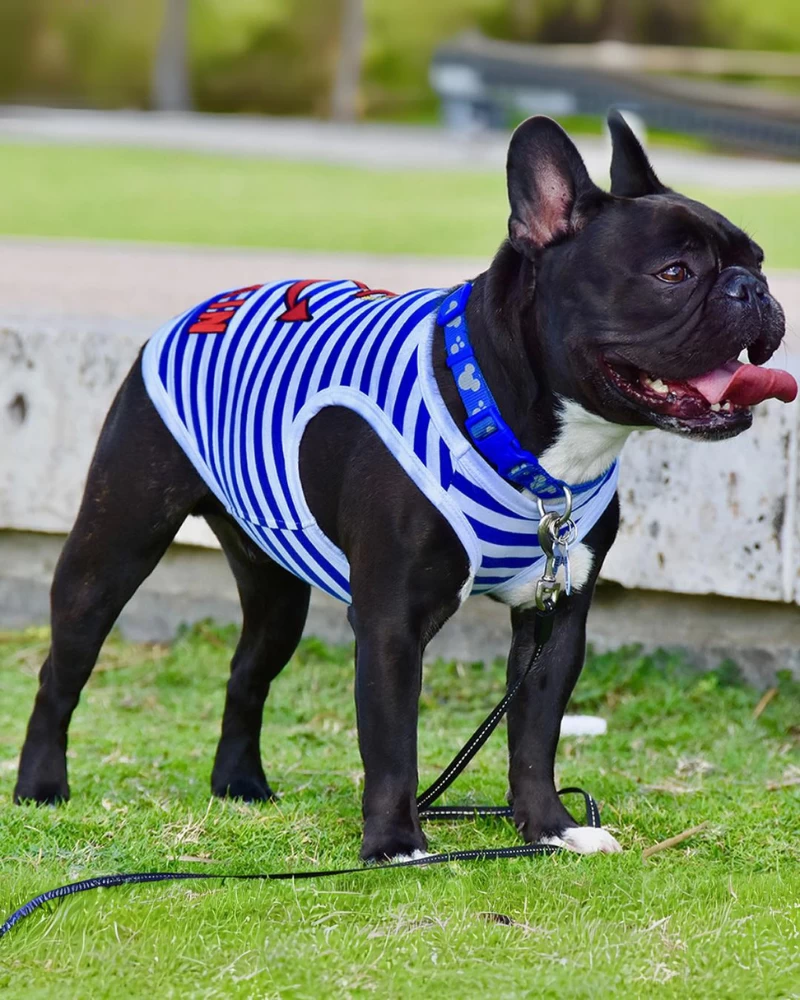 PARISIAN PETS Captain Dog Tank Top In Blue & White Stripe - Image 4