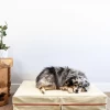 LE DOG Orthopedic & Cooling Leather Dog Bed (Drop-Ship)