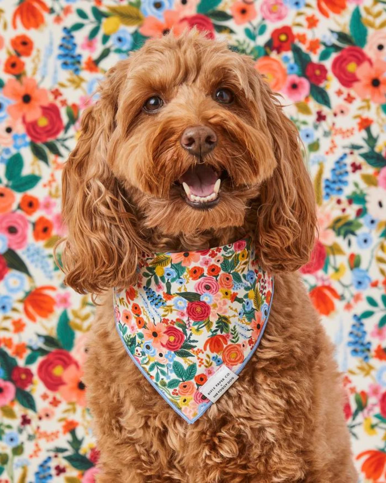 THE FOGGY DOG Rifle Paper Co. X Tfd Garden Party Spring Dog Bandana (Made In The USA) - Image 5