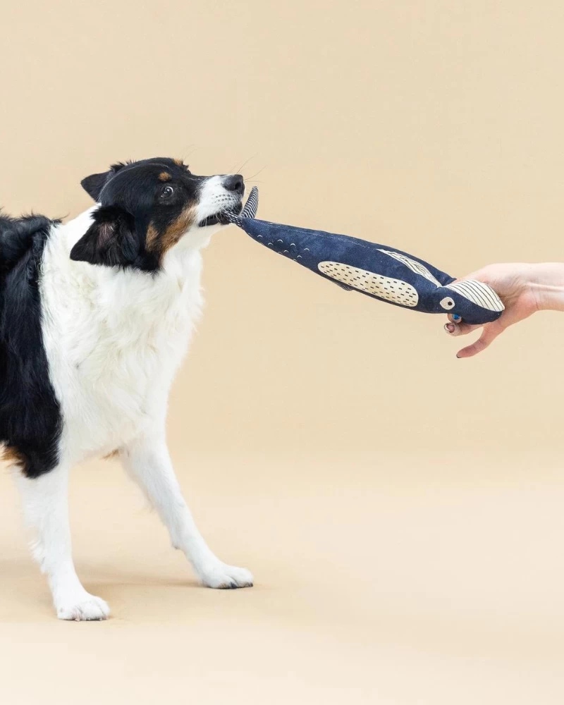 PETSHOP There She Blows Canvas Whale Dog Toy - Image 6