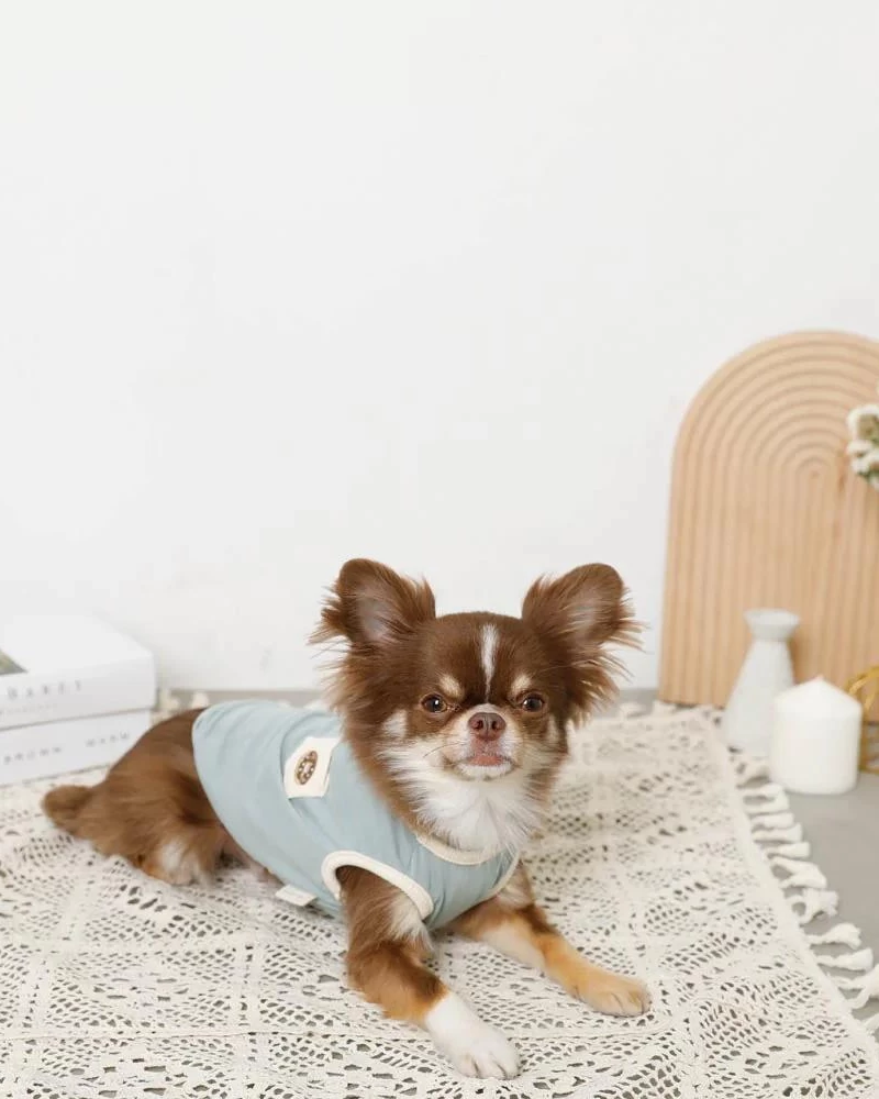 MONCHERI Donut Tank For Dogs (Cooling Fabric) - Image 4