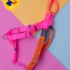 2 HOUNDS For DOG & CO. (Exclusive) Freedom No-Pull Harness In Neon Pink & Orange (Made In The USA)