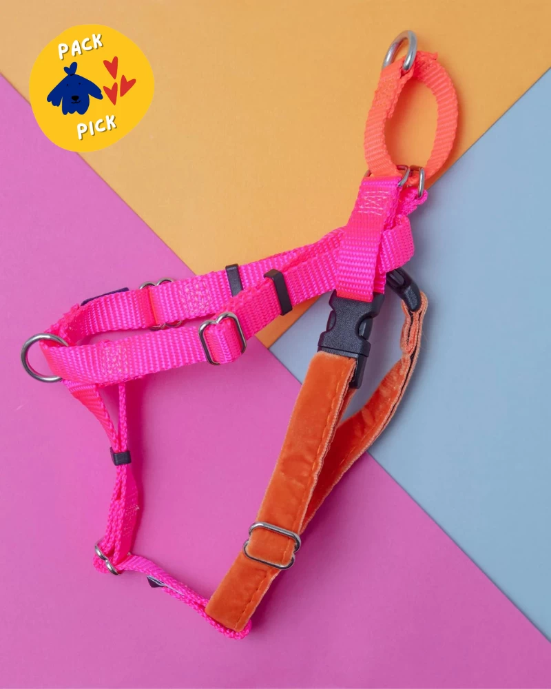 2 HOUNDS For DOG & CO. (Exclusive) Freedom No-Pull Harness In Neon Pink & Orange (Made In The USA)