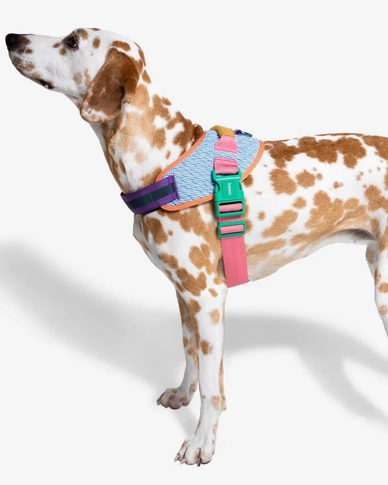 ZEE.DOG Flyharness In Galaxy For Dogs - Image 7