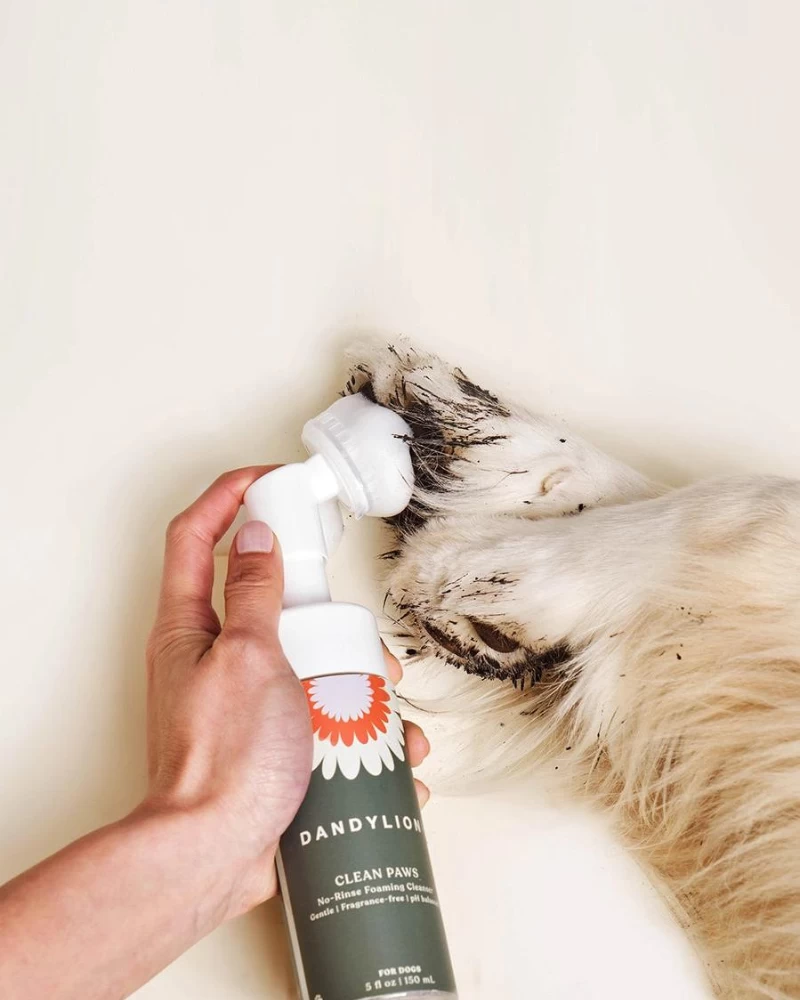 DANDYLION Clean Paws No-Rinse Foaming Cleanser For Dogs (Vegan & Cruelty Free) - Image 2