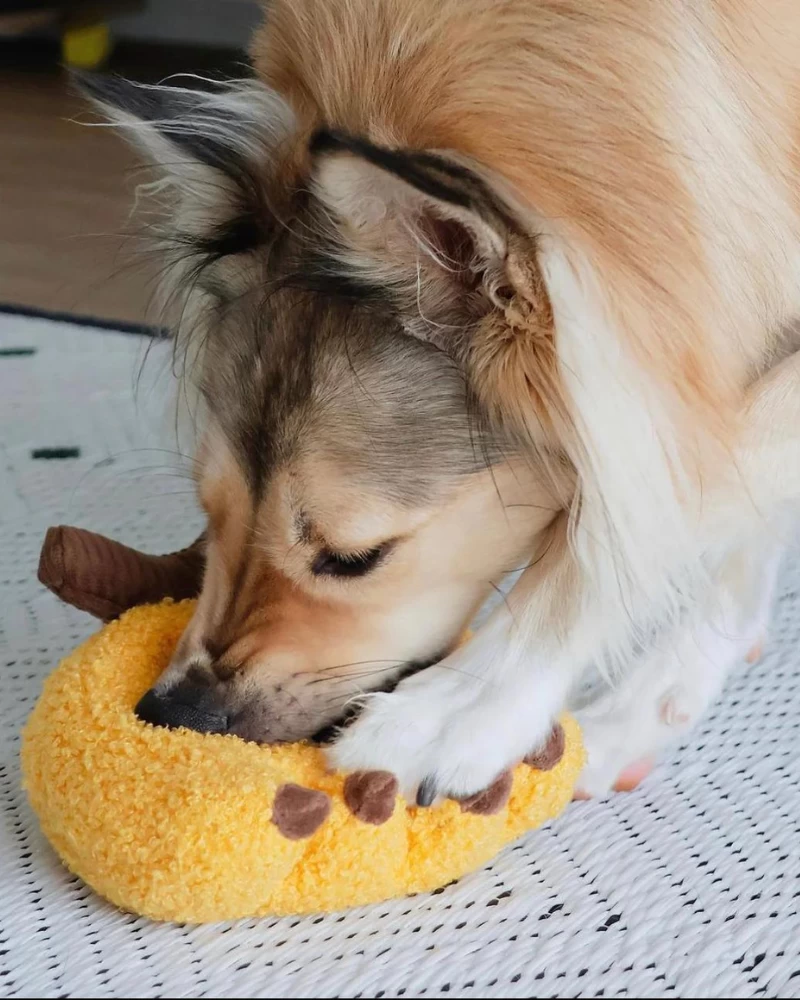 LAMBWOLF COLLECTIVE Banana Interactive Snuffle Dog Toy - Image 4