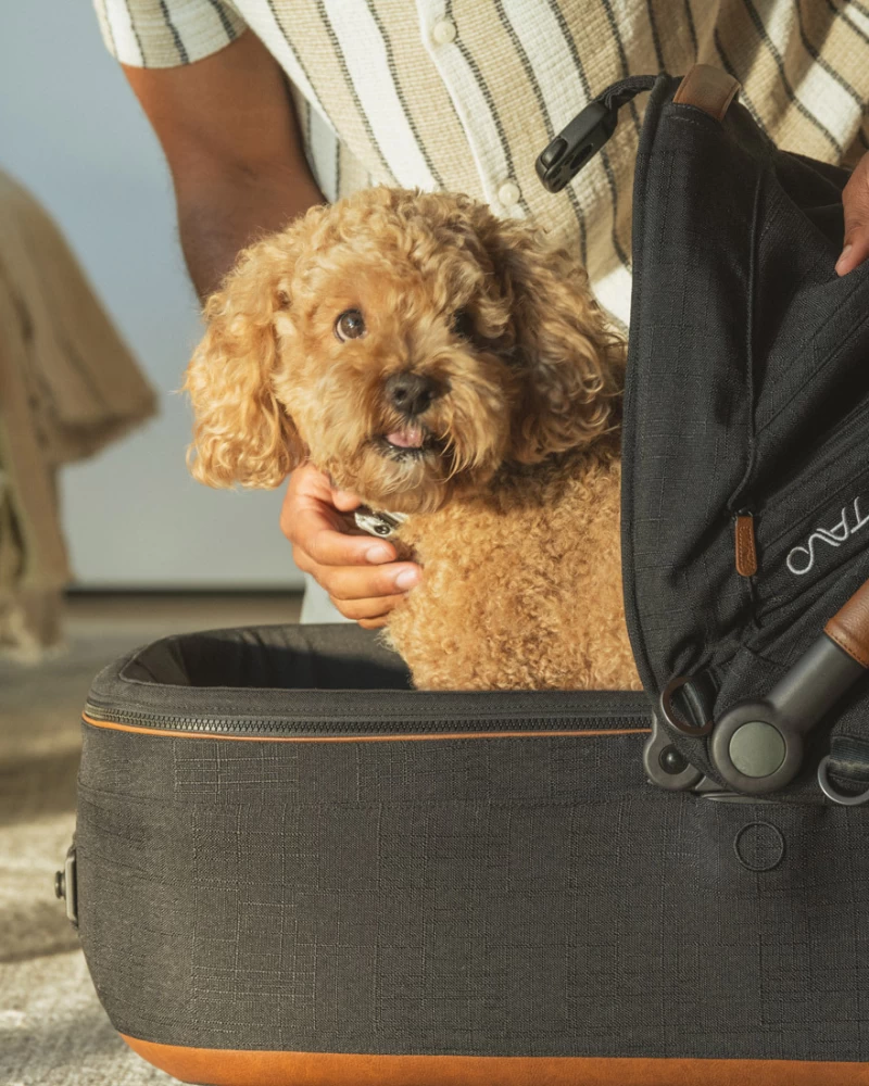 TAVO PET Maeve™ + Roscoe™ 3-in-1 Pet Stroller & Car Seat - Image 5