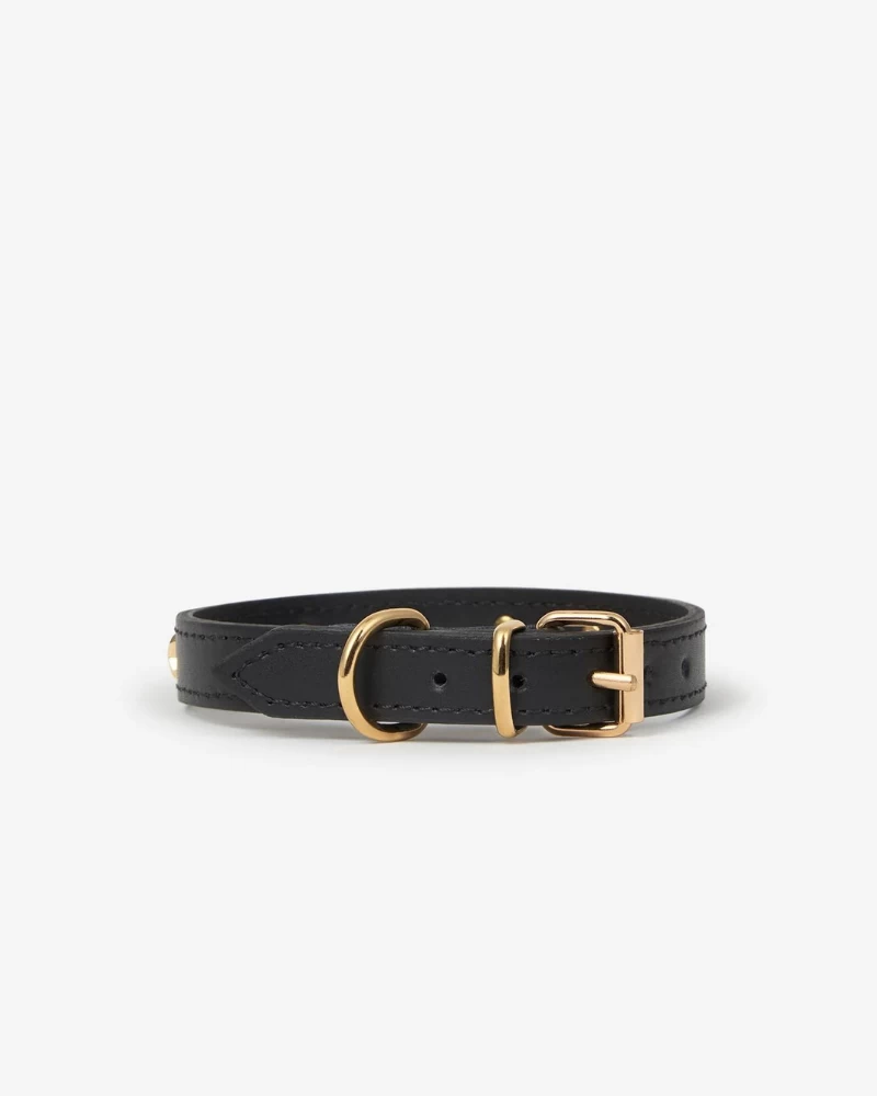 BRANNI Black Nara Leather Dog Collar With Brass Stars (Made In Italy) - Image 9