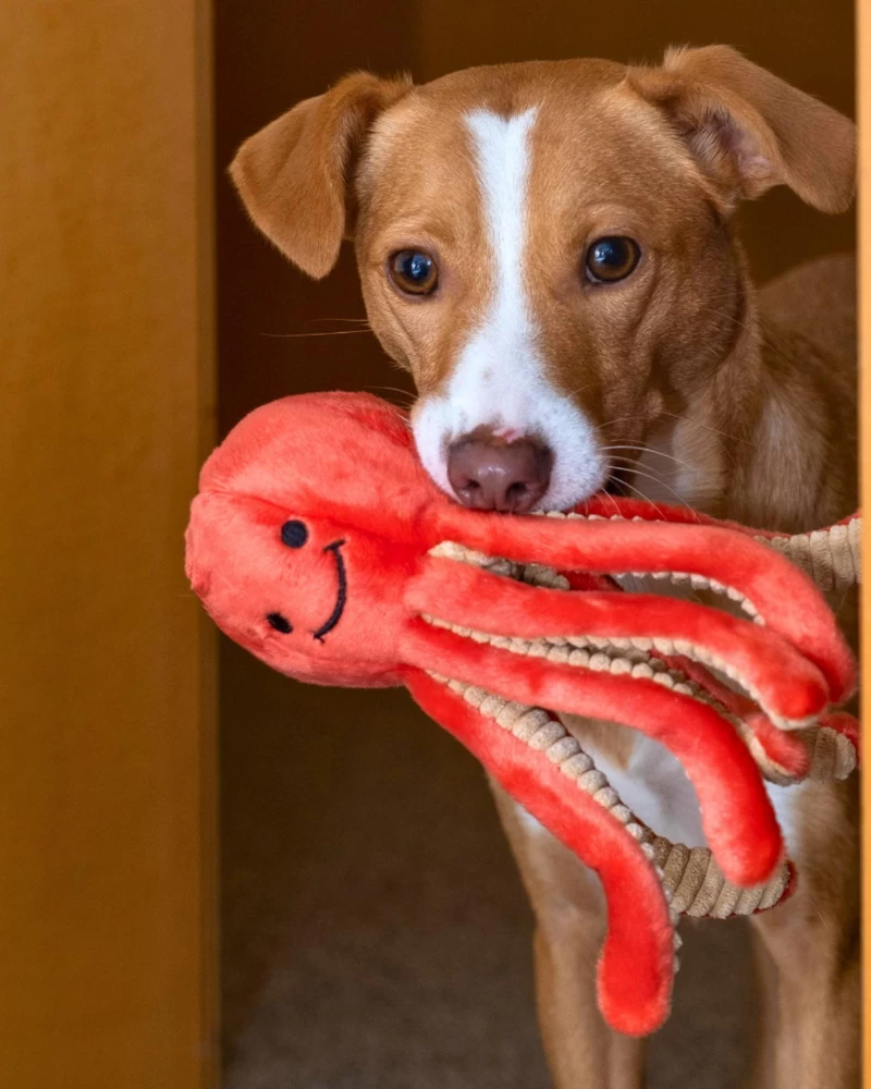 FLUFF & TUFF Squirt The Octopus Plush Squeaky Dog Toy - Image 2
