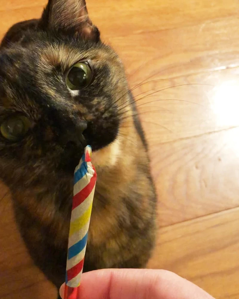 MEOWIJUANA Birthjays™ Party Sized Catnip Joints - Image 6