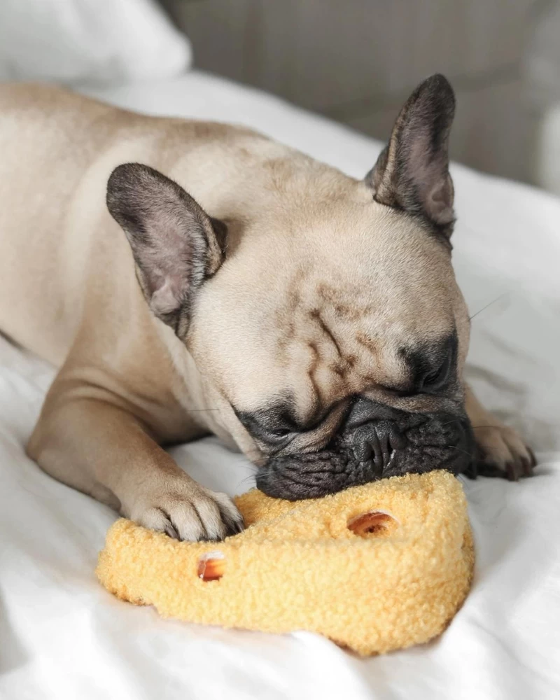 LAMBWOLF COLLECTIVE Fromage Enrichment Dog Toy - Image 5