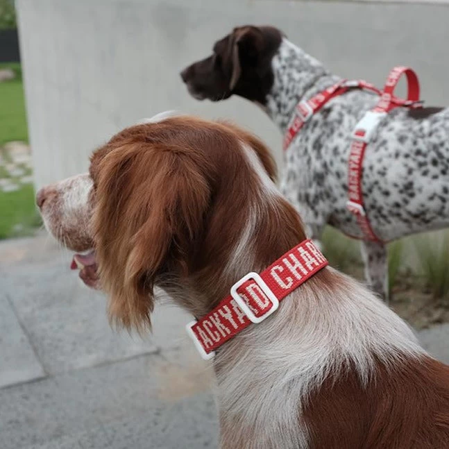 CHARLIE'S BACKYARD Trip Dog Collar In Red (CLEARANCE)