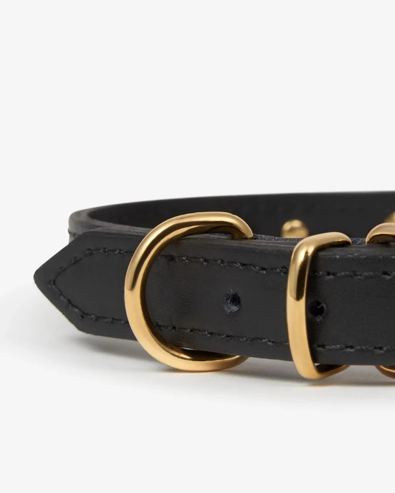 BRANNI Black Nara Leather Dog Collar With Brass Stars (Made In Italy) - Image 7
