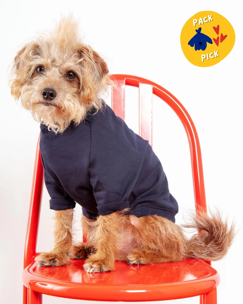 DOG & CO. COLLECTION Cut-Sleeve Crewneck Pullover In New Navy<br>(Made In NYC!) (FINAL SALE)