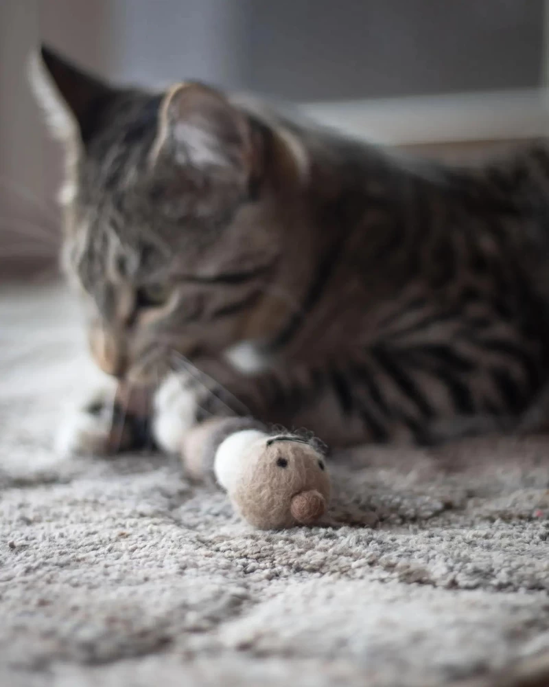 FRIENDSHEEP Brownie The Caterpillar Natural Wool Cat Toy - Image 5
