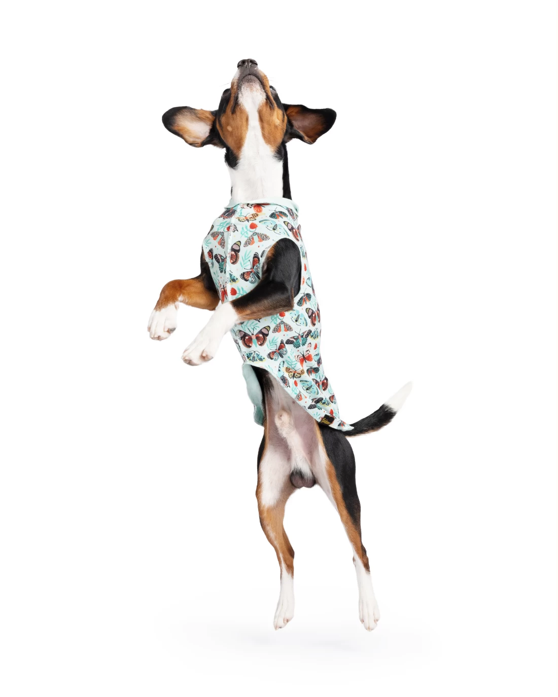 GOLD PAW Sun Shield Tee In Butterfly Print (Made In The USA) - Image 3