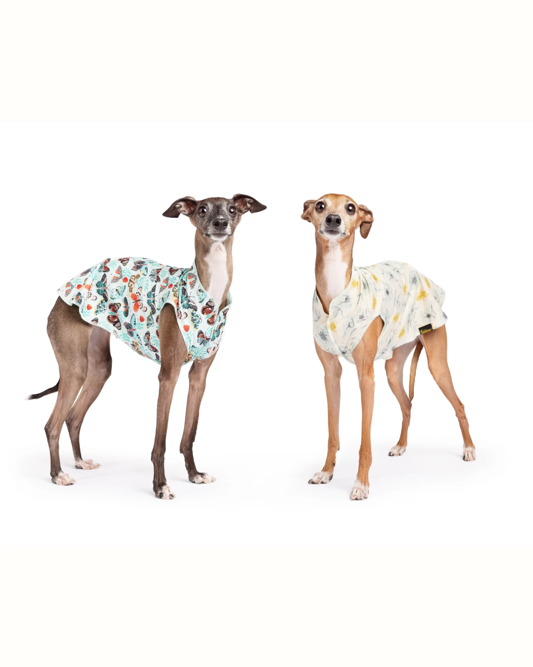 GOLD PAW Sun Shield Tee In Butterfly Print (Made In The USA) - Image 4