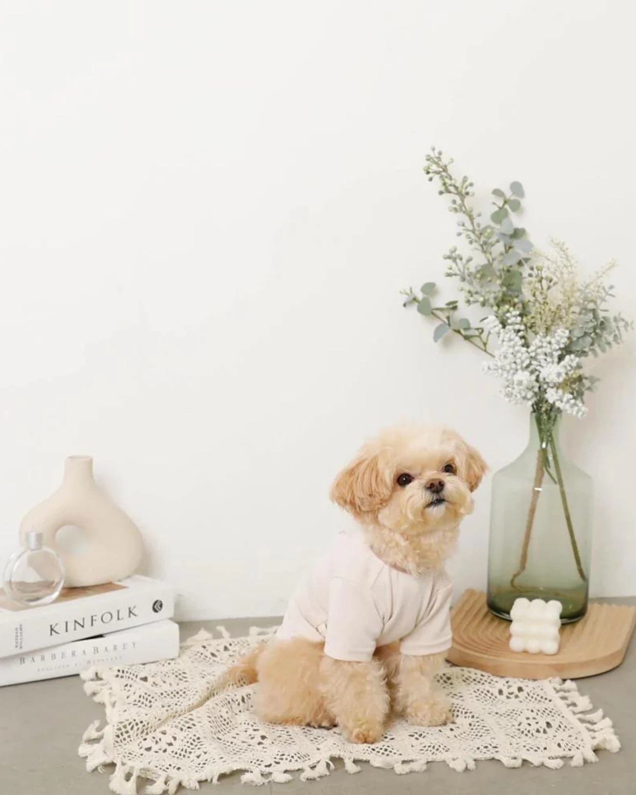 MONCHERI Cupcake Love Dog T-Shirt - Image 8