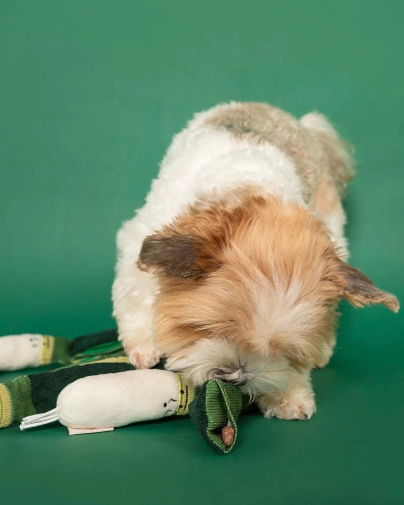 THE FURRY FOLKS Green Onion Nosework Dog Toy - Image 8