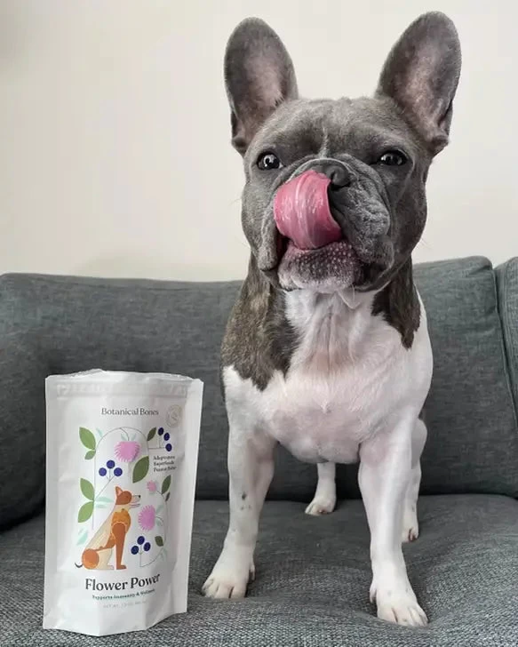 BOTANICAL BONES Flower Power Superfood Dog Treats - Image 5