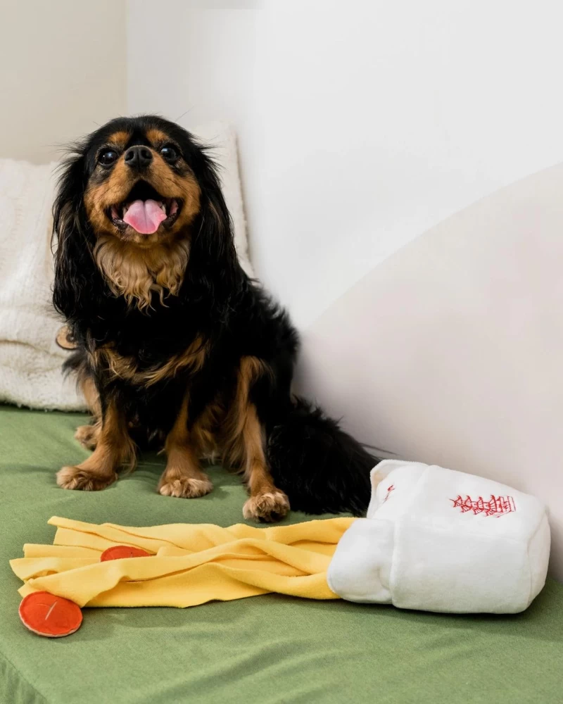 INJOYA Take Out Snuffle Interactive Dog Toy - Image 9