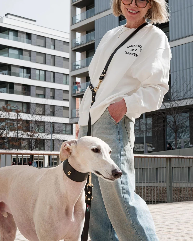 BRANNI Black Nara Hands-Free Leather Dog Leash With Brass Hardware (Made In Italy)