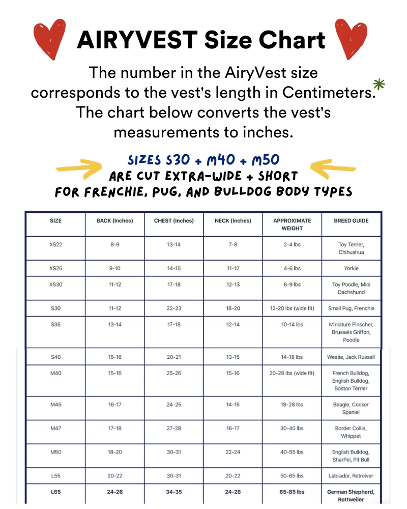 AIRYVEST For DOG & CO. Reversible AiryVest In Strawberry + Blush (DOG & CO. Exclusive) (FINAL SALE) - Image 9