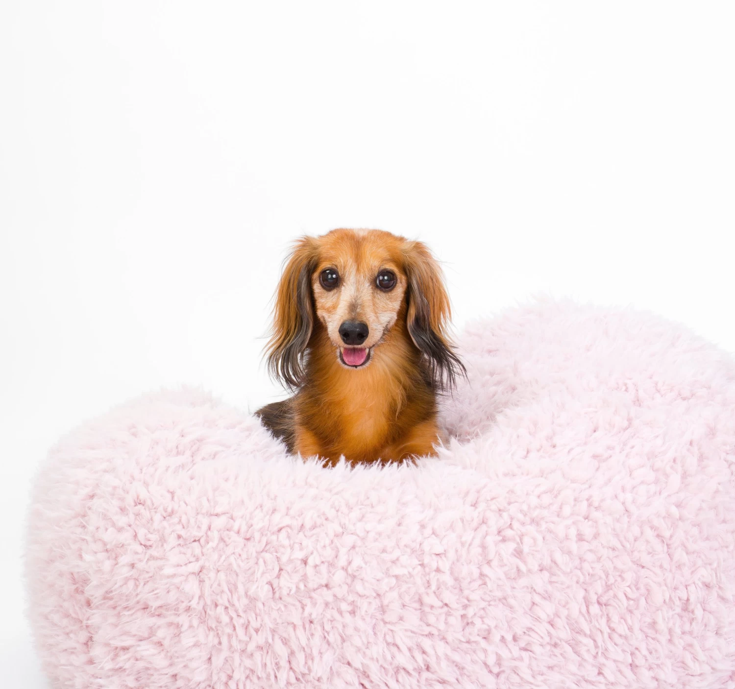 MODERN BEAST Pod Bed In Blush (Custom/Drop-Ship) - Image 2