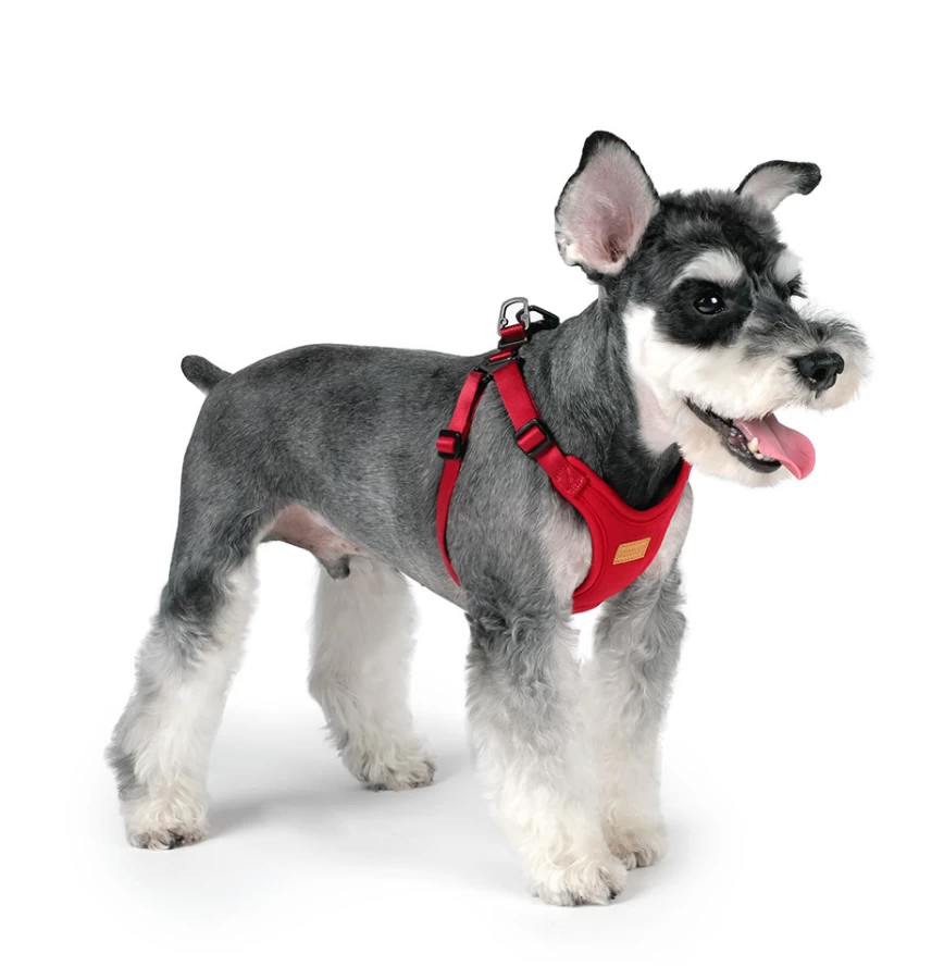 CHARLIE'S BACKYARD Comfort Dog Harness In Red - Image 6