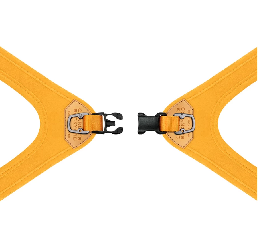 CHARLIE'S BACKYARD Buckle Up Easy Dog Harness In Gray - Image 7