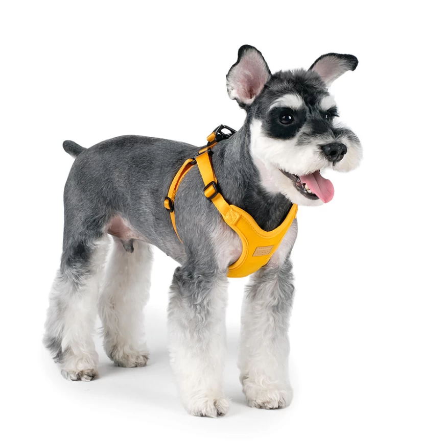 CHARLIE'S BACKYARD Comfort Dog Harness In Yellow - Image 7