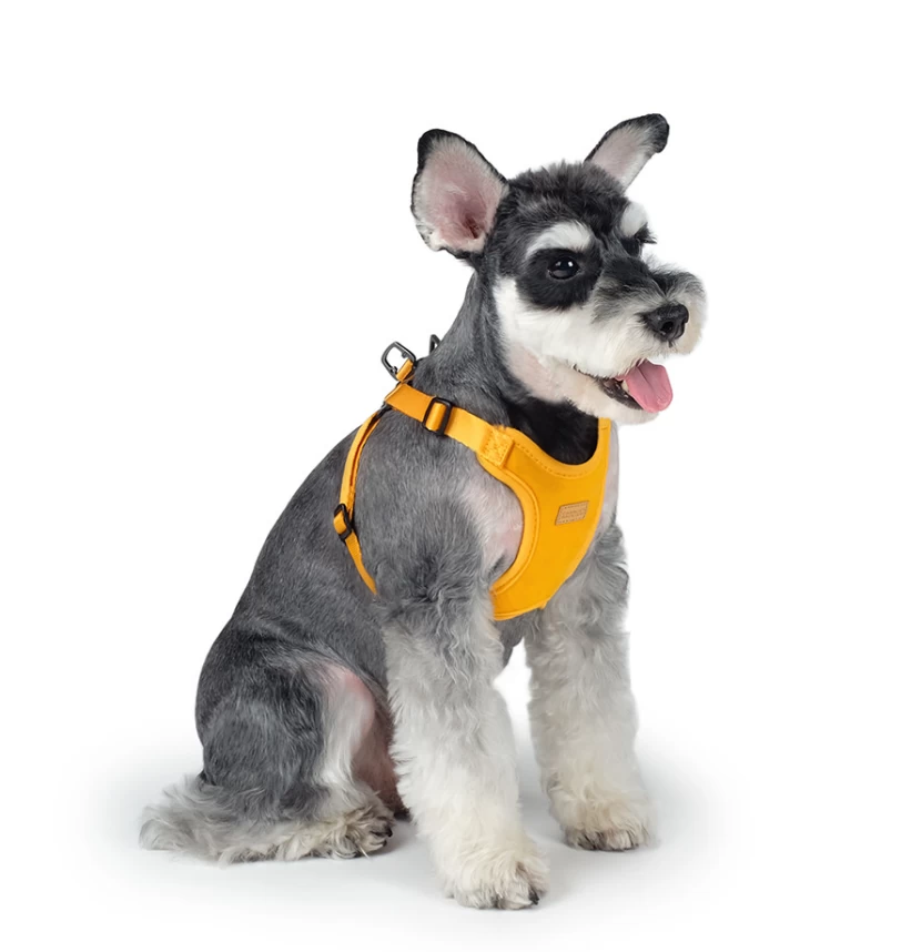 CHARLIE'S BACKYARD Comfort Dog Harness In Yellow - Image 8