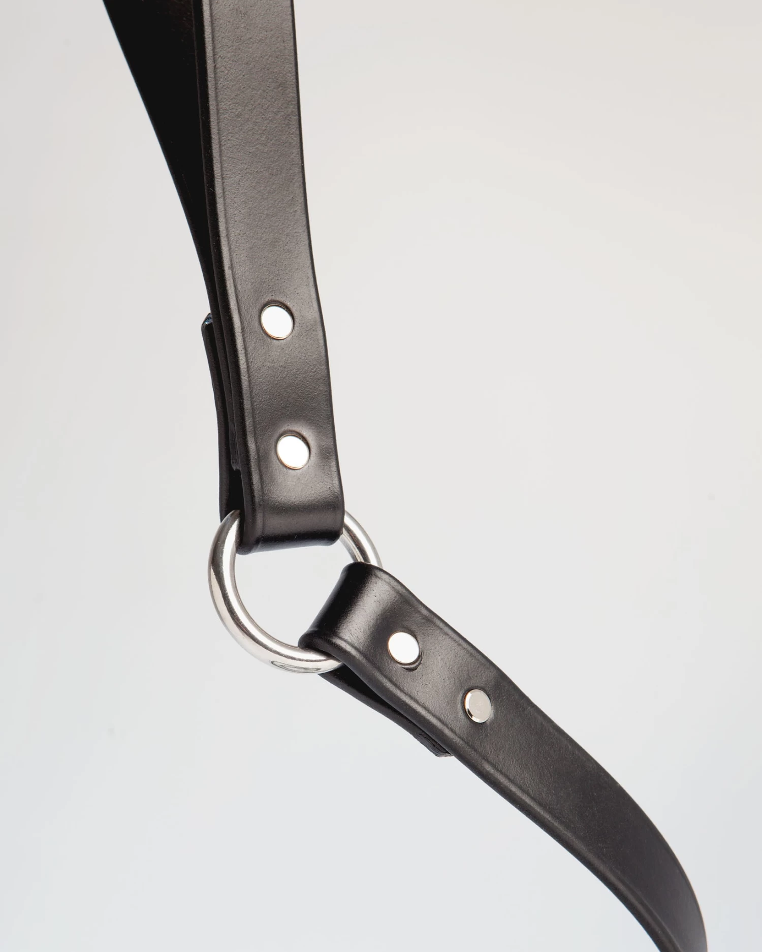 DOG & CO. COLLECTION City Leash In Basic Black (Made In The USA) - Image 8