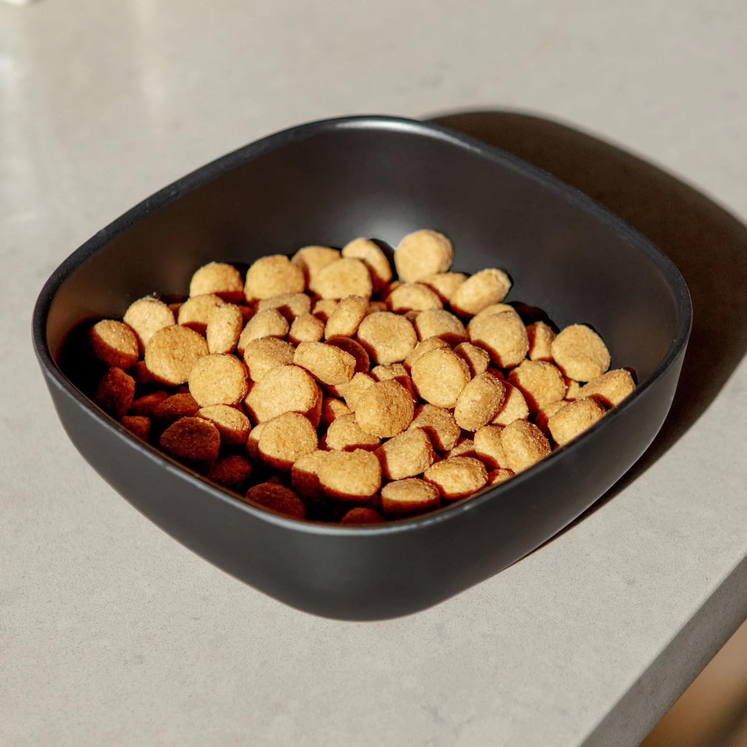 EKOBO Biobu Gusto Dog Bowl In Black (FINAL SALE) - Image 2