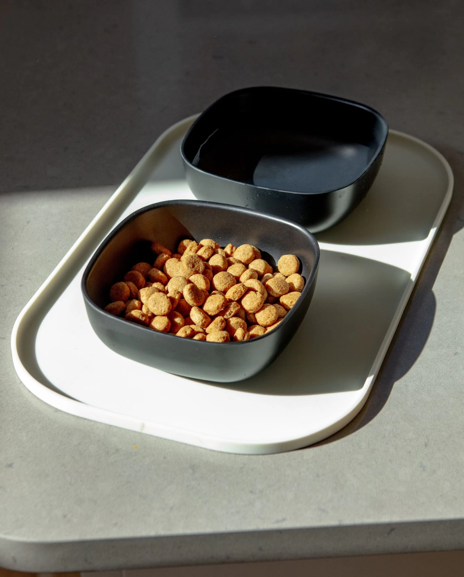 EKOBO Biobu Gusto Dog Bowl In Black (FINAL SALE) - Image 5