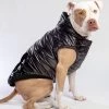 CANADA POOCH Shiny Puffer Dog Coat In Black (FINAL SALE)