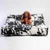 BOWSER'S PET PRODUCTS Piazza Dog Bed (Direct-Ship)