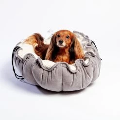BOWSER'S PET PRODUCTS Buttercup Bed (Direct-Ship)