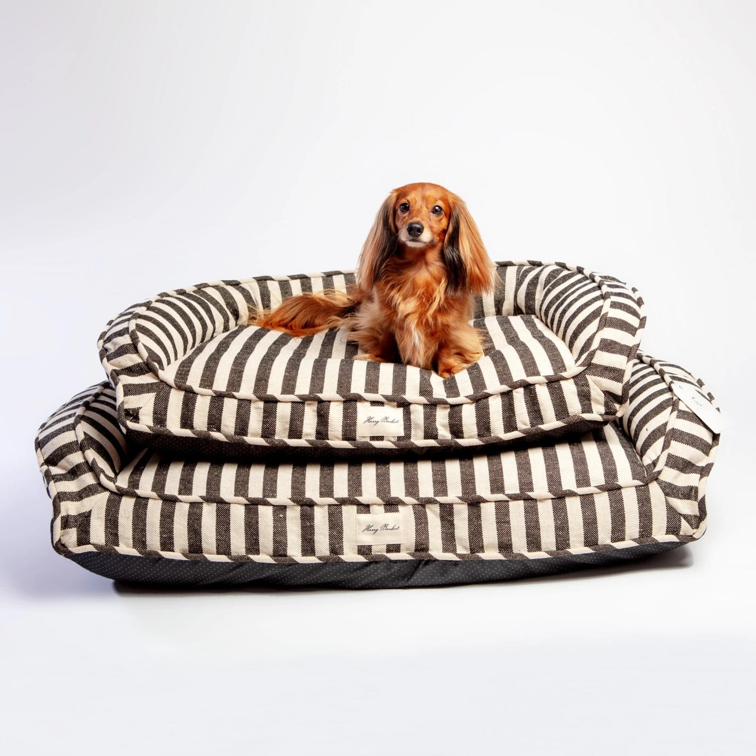 HARRY BARKER Ortho-Lounger Dog Bed (Direct-Ship) - Image 9