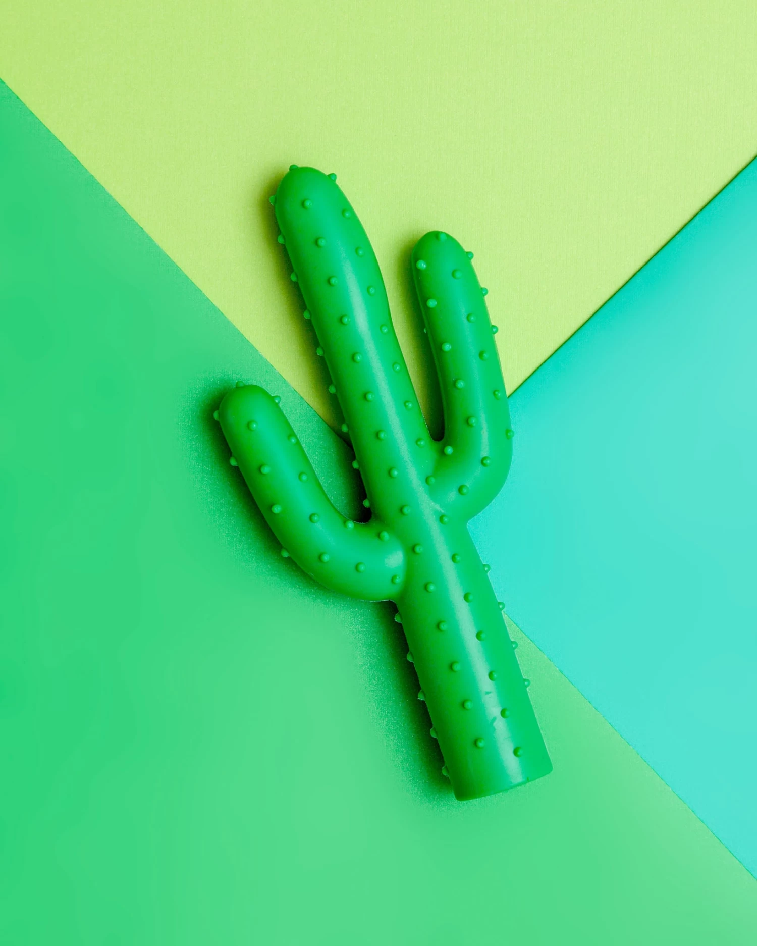 WAGGO Silly Succulent Cactus Rubber Dog Toy